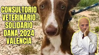 ❤️ CONSULTORIO VETERINARIO SOLIDARIO AFECTADOS DANA VALENCIA 2024 ❤️ [upl. by Htebazileyram]