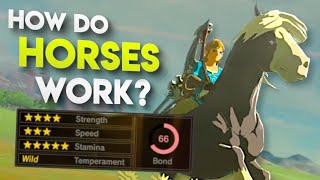 All HIDDEN Horse Stats in Breath of the Wild EXPLAINED [upl. by Nurav]