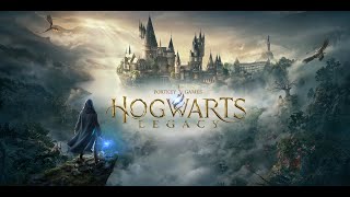 Die Halle von Herodiana 35 Hogwarts Legacy  WQHD Gameplay Deutsch Ohne Kommentar [upl. by Nosoj726]