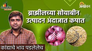 Soybean Market आंतरराष्ट्रीय सोयाबीन बाजारात आठवडाभरात काय घडलं  Agrowon  ॲग्रोवन [upl. by Beverley]