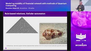 1  Modeling stability of financial network with methods of Quantum Computing  Branislav Majernik [upl. by Quar356]