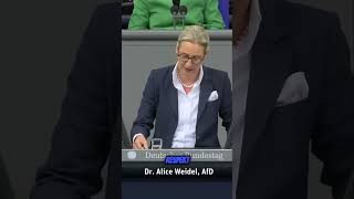 Alice Weidel fordert politische Wende im Bundestag [upl. by Llamaj]