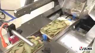 Herbs packaging in trays in flow pack wrapper HFFS [upl. by Par]