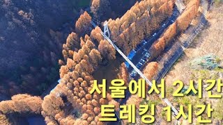 서울에서 2시간  1시간 트레킹  올 가을 마지막 단풍 여행  메타세타콰이어 절정 [upl. by Dallis]