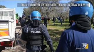 Puglia la protesta contro il gasdotto TAP che fa strage di ulivi [upl. by Aral470]