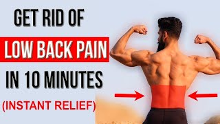 Fix LOWER BACK PAIN in 10 Mins Top 4 Stretches [upl. by Pump]