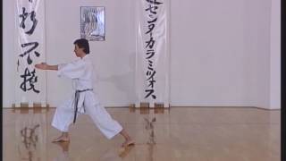 Shotokan  Heian Nidan [upl. by Art]