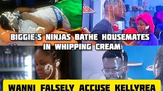 NINJAS BATH HOUSEMATES IN WHIPPING CREAM WANNI FALSELY ACCUSE KELLYREA BBNAIJA NO LOOSE GUARD [upl. by Spragens628]