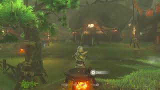 How To Make Hearty salmon meuniere In The Legend Of Zelda Breath Of The Wild [upl. by Rather]