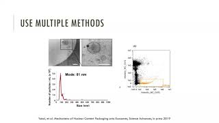 200409 Clise Dwyer EV Imaging Cytometry [upl. by Aliak467]