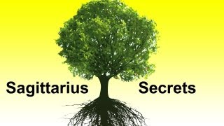 Mula Nakshatra Vedic Astrology Sagittarius Horoscope Secrets Ep 18 [upl. by Zoie]