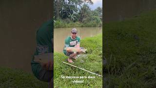 Linda carpa capim carparkingmultiplayer videoshort fishing fishing [upl. by Phyllida]