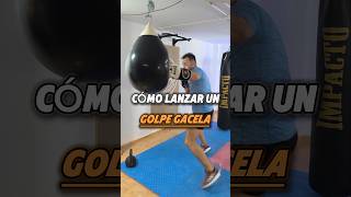 ✅Aprende cómo lanzar el GOLPE GACELA🥊 boxing boxingtips shorts [upl. by Ahtinak]