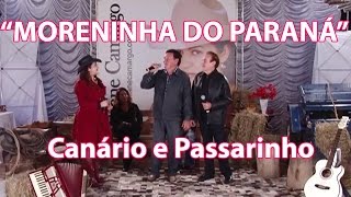 A MORENINHA DO PARANÁquot com CANÁRIO amp PASSARINHO [upl. by Aiekal]