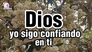 Dios yo sigo confiando en ti [upl. by Eiliah]