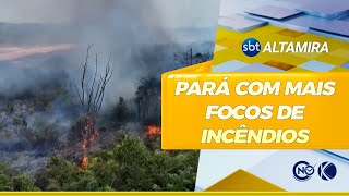 Pará é o estado com mais focos de incêndios na região amazônica  SBT Altamira [upl. by Pablo]