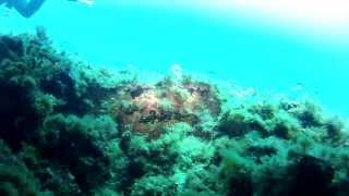 scuba diving p21 ship wreck Cirkewwa malta [upl. by Wiltshire]