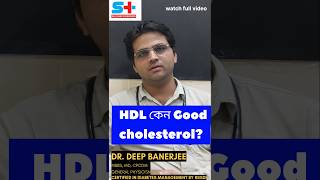 HDL কেন ভালো Why is HDL GOOD CHOLESTEROL shorts bangla cholesterol medical doctor diabetes [upl. by Brandise]