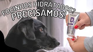 HIDRATA FOCINHOS PARA CACHORRO  Hidrata Focinhos da Dog’s Care [upl. by Dranyer]