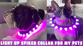 Spiked Dog Collars with LED Light  Keep Your Pets Visible amp Safe at Night [upl. by Nevs]