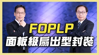 FOPLP 面板級扇出型封裝 FanOut PanelLevel Packaging FOPLP [upl. by Belva]