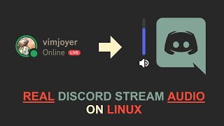 REAL Discord Stream Audio On Linux [upl. by Naharba]