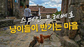 사람들보다 고양이가 더 많이 사는 마을 트레베호 스페인 고양이 [upl. by Emmit237]