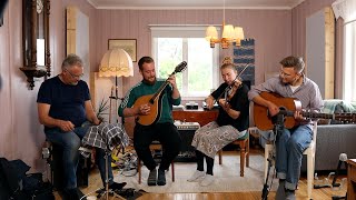 Den ljusa hallingen  Swedish Folk Music [upl. by Ethbinium62]