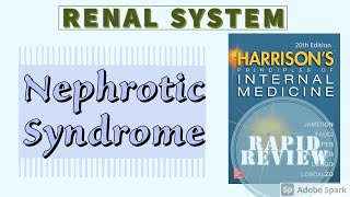 NEPHROTIC SYNDROME  Definition  Causes  Clinical Features  Treatment  Rapid Review  Harrison [upl. by Amitarp]