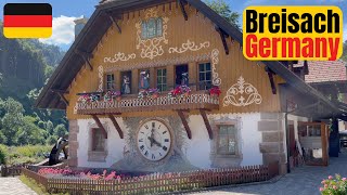 Breisach Germany  Viking Rhine River CruiseDay Seven [upl. by Temirf103]