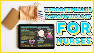 Hydrocephalus Pathophysiology  Everything You Need to Know [upl. by Jaime]