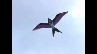 Bird Kites at Dieppe  2004 kite festival [upl. by Clementine]