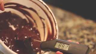 How to Temper Chocolate [upl. by Neve181]