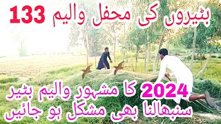 Batair k Shikar Kayliay Best Recording 2024 Volume 133  Quail Sound  Quail Hunting [upl. by Etteuqram]