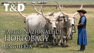 Parco Nazionale Hortobágy 🇭🇺 Ungheria [upl. by Ahsiugal]