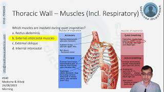 Thorax Question Discussion August November 2023 Attempt [upl. by Anilad]