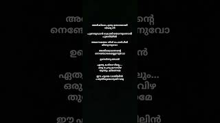 arikile puthusong lyrics malayalam Irfanachemban music lyrics song shorts malayalam [upl. by Jaan328]