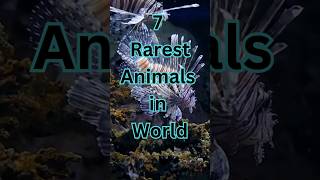 7 rarest animals in the world shorts [upl. by Peterson257]