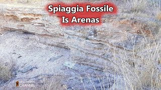 Spiaggia Fossile di Is Arenas al Parco di Molentargius  10 Novembre 2017  Vivere a Cagliari [upl. by Corrine600]