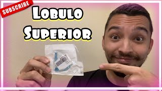 🟢 Como Perforarse el Lóbulo Superior piercing sola en casa 2021 sin dolor segundo arete dela oreja [upl. by Eivla]