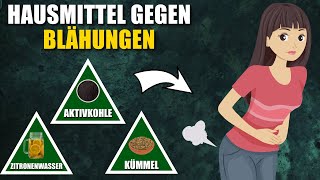 10 Natürliche Hausmittel gegen Blähungen [upl. by Blight]