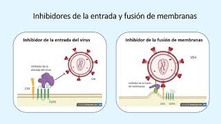 VIH y su tratamiento farmacológico [upl. by Iroj809]