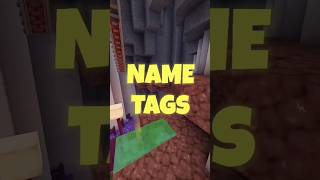 Minecraft name tag trick 🤯🩷🩷  shorts minecraft youtubeshorts [upl. by Lolly]