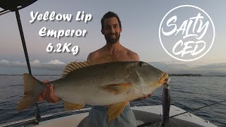 World Record Yellow Lip Emperor Catch Clean amp Cook [upl. by Ellednahs164]