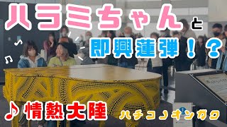 【都庁ピアノ】ハラミちゃんと葉加瀬太郎さんの情熱大陸を即興連弾させていただきました🥺✨🍖🎹Tokyo Metropolitan Government Piano 🗼Age14 [upl. by Notnilc436]