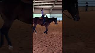 2024 TCU Fall Horsemanship Clinic [upl. by Salokin113]