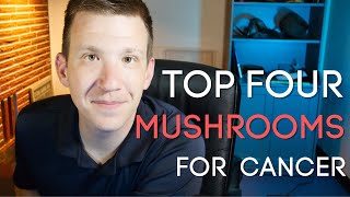 Top 4 Mushrooms for Cancer Fighters [upl. by Schreibe37]