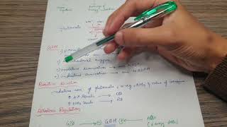 Lippin Chp 19  Oxidative Deamination [upl. by Gombosi]