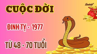 Tử Vi  Cuộc Đời Đinh Tỵ 1977  Từ 48 Tới 70 Tuổi  Phật Ban Lộc Mạnh  Tiền Về Đầy Ấp [upl. by Sanfo]