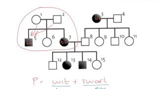 BiologieErfelijkheiddominant of recessief in stambomen [upl. by Ahseital592]